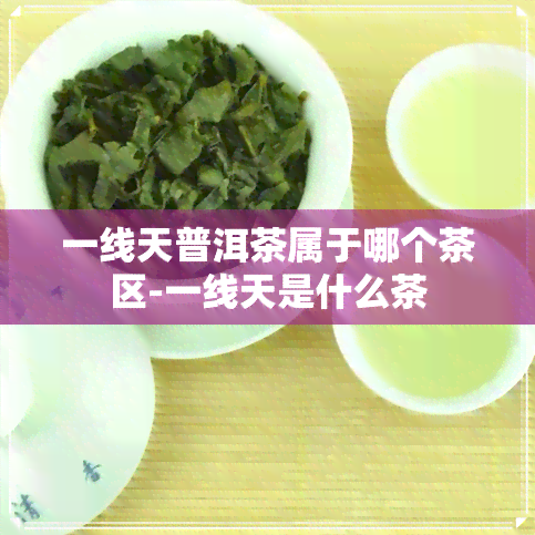 一线天普洱茶属于哪个茶区-一线天是什么茶