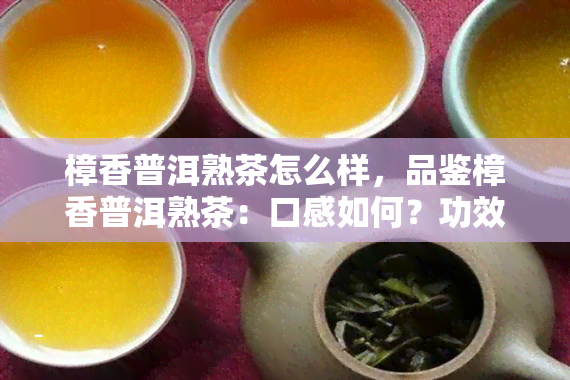 樟香普洱熟茶怎么样，品鉴樟香普洱熟茶：口感如何？功效与特点有哪些？