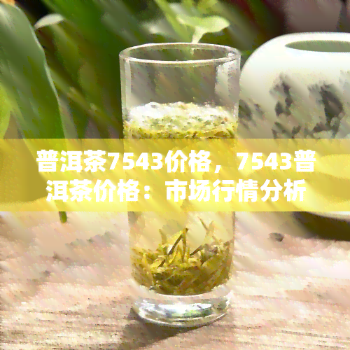 普洱茶7543价格，7543普洱茶价格：市场行情分析与趋势预测