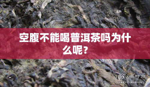 空腹不能喝普洱茶吗为什么呢？