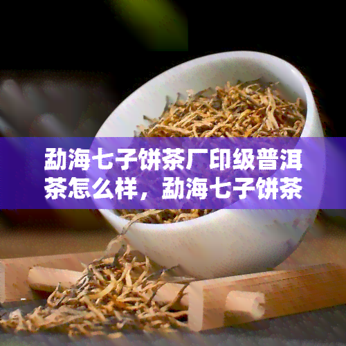 勐海七子饼茶厂印级普洱茶怎么样，勐海七子饼茶厂：探索印级普洱茶的品质与传承