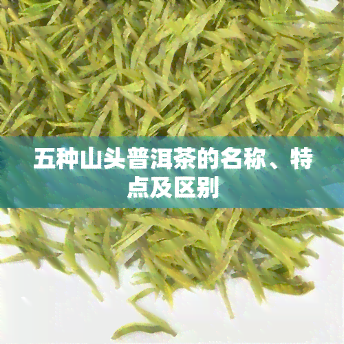 五种山头普洱茶的名称、特点及区别