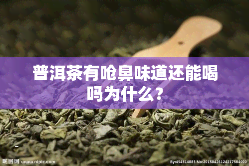 普洱茶有呛鼻味道还能喝吗为什么？