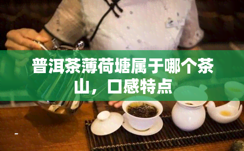 普洱茶薄荷塘属于哪个茶山，口感特点