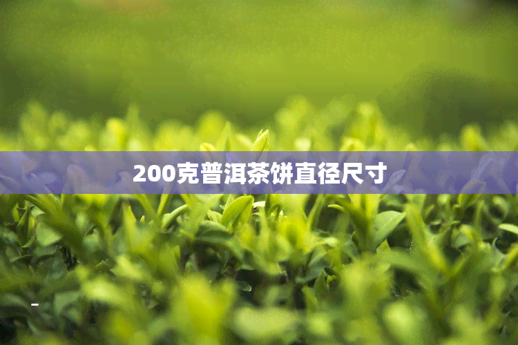 200克普洱茶饼直径尺寸