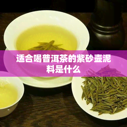 适合喝普洱茶的紫砂壶泥料是什么