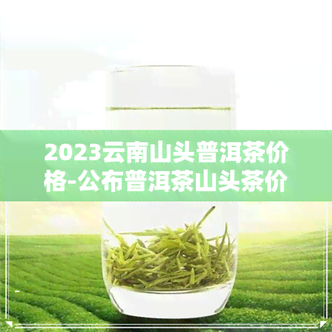 2023云南山头普洱茶价格-公布普洱茶山头茶价格