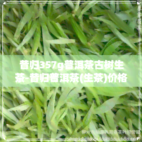 昔归357g普洱茶古树生茶-昔归普洱茶(生茶)价格