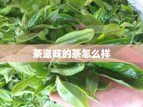 茶滋味的茶怎么样