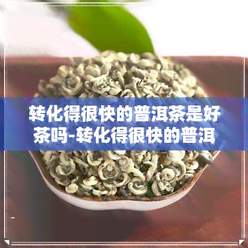 转化得很快的普洱茶是好茶吗-转化得很快的普洱茶是好茶吗知乎