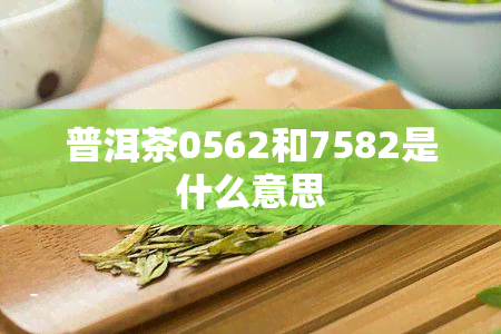 普洱茶0562和7582是什么意思