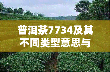 普洱茶7734及其不同类型意思与品评