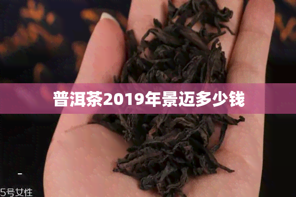 普洱茶2019年景迈多少钱