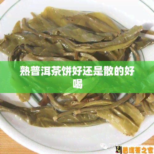 熟普洱茶饼好还是散的好喝