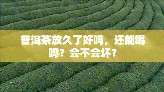 普洱茶放久了好吗，还能喝吗？会不会坏？