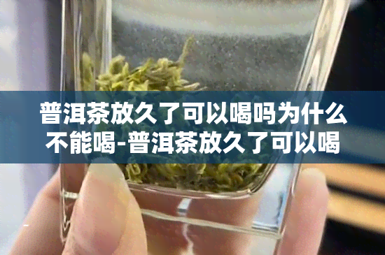 普洱茶放久了可以喝吗为什么不能喝-普洱茶放久了可以喝吗为什么不能喝了