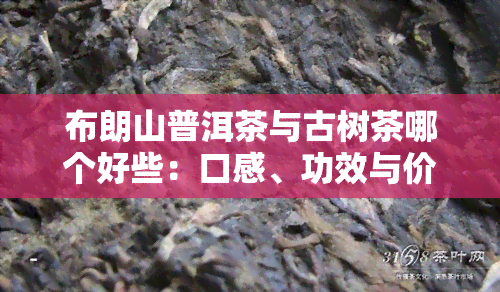 布朗山普洱茶与古树茶哪个好些：口感、功效与价格