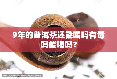 9年的普洱茶还能喝吗有吗能喝吗？