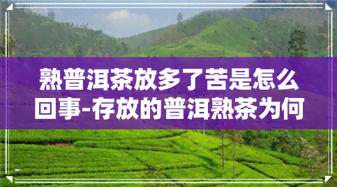 熟普洱茶放多了苦是怎么回事-存放的普洱熟茶为何发苦