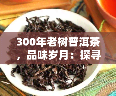 300年老树普洱茶，品味岁月：探寻300年老树普洱茶的醇厚滋味