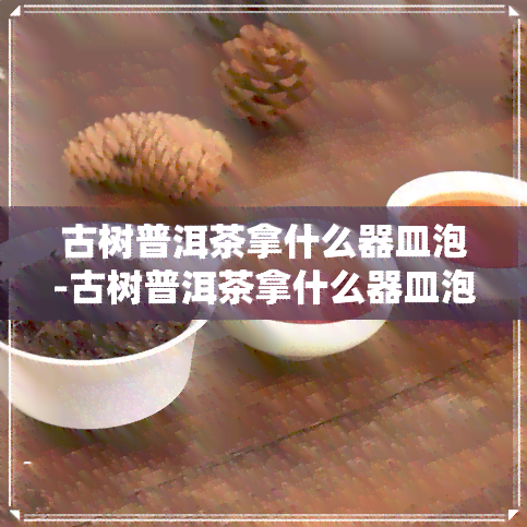 古树普洱茶拿什么器皿泡-古树普洱茶拿什么器皿泡呢