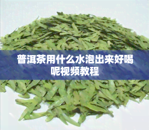 普洱茶用什么水泡出来好喝呢视频教程