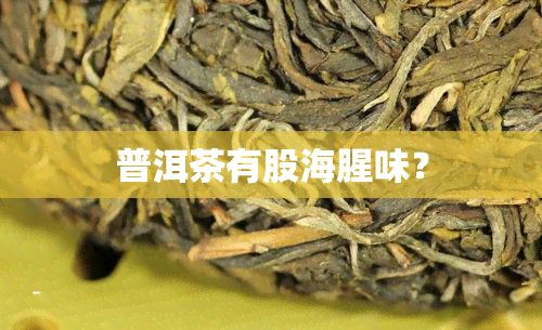 普洱茶有股海腥味？