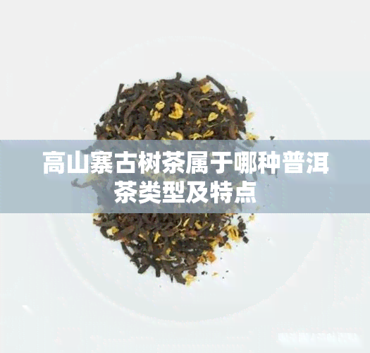 高山寨古树茶属于哪种普洱茶类型及特点