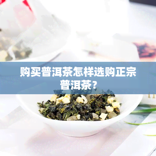 购买普洱茶怎样选购正宗普洱茶？