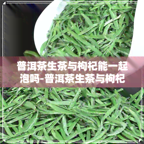 普洱茶生茶与枸杞能一起泡吗-普洱茶生茶与枸杞能一起泡吗功效