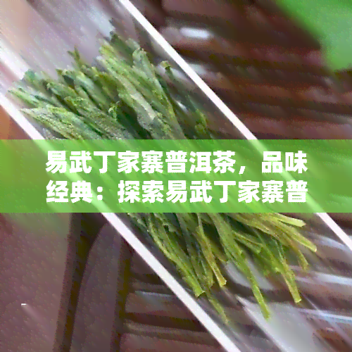 易武丁家寨普洱茶，品味经典：探索易武丁家寨普洱茶的独特魅力