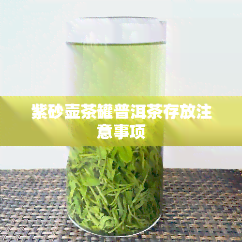 紫砂壶茶罐普洱茶存放注意事项