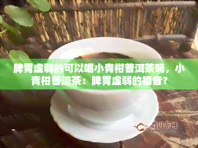 脾胃虚弱的可以喝小青柑普洱茶吗，小青柑普洱茶：脾胃虚弱的福音？