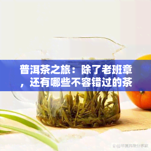 普洱茶之旅：除了老班章，还有哪些不容错过的茶叶宝藏？