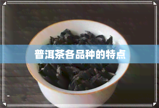 普洱茶各品种的特点