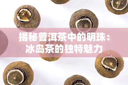 揭秘普洱茶中的明珠：冰岛茶的独特魅力