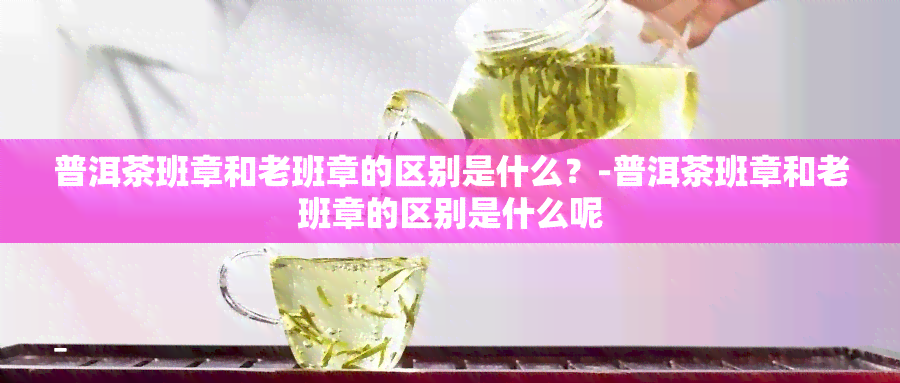 普洱茶班章和老班章的区别是什么？-普洱茶班章和老班章的区别是什么呢