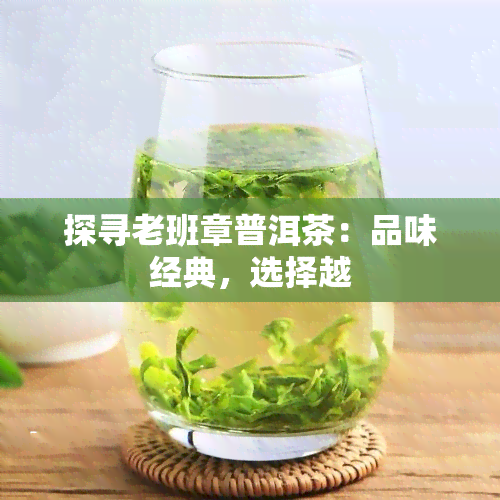 探寻老班章普洱茶：品味经典，选择越