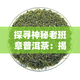 探寻神秘老班章普洱茶：揭秘其生产基地