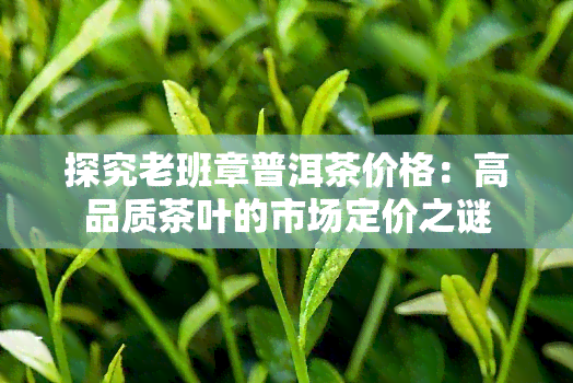 探究老班章普洱茶价格：高品质茶叶的市场定价之谜