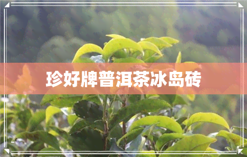 珍好牌普洱茶冰岛砖