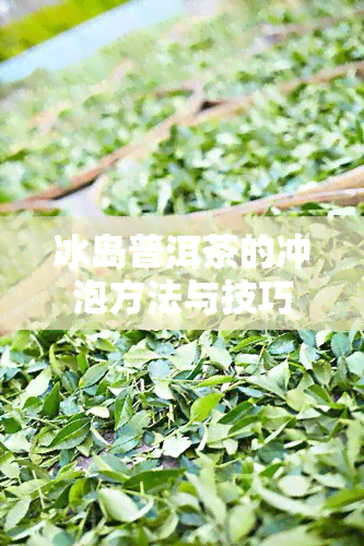 冰岛普洱茶的冲泡方法与技巧