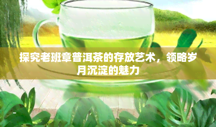 探究老班章普洱茶的存放艺术，领略岁月沉淀的魅力