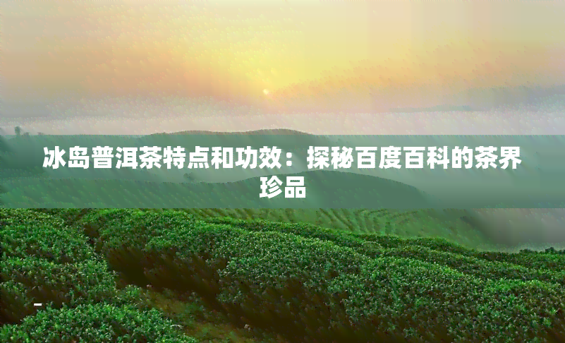 冰岛普洱茶特点和功效：探秘百度百科的茶界珍品