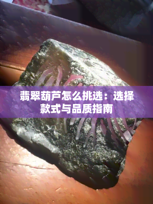 翡翠葫芦怎么挑选：选择款式与品质指南