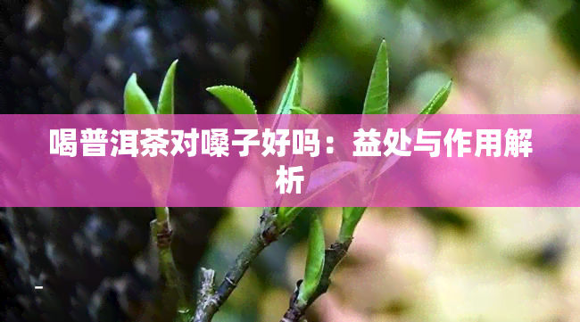 喝普洱茶对嗓子好吗：益处与作用解析