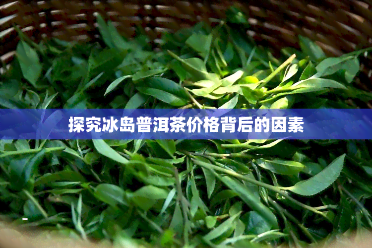 探究冰岛普洱茶价格背后的因素