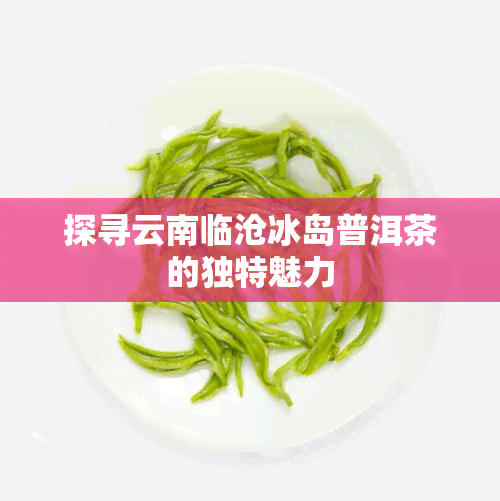 探寻云南临沧冰岛普洱茶的独特魅力