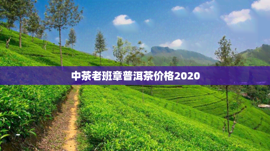 中茶老班章普洱茶价格2020