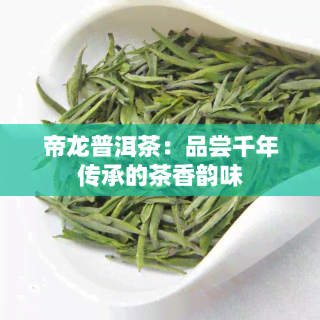 帝龙普洱茶：品尝千年传承的茶香韵味